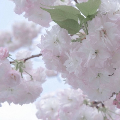 普安FurryQQ群介绍